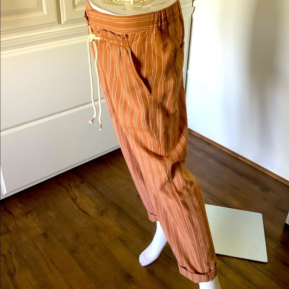 Anthropologie Terracotta Pants - Picture 9 of 16